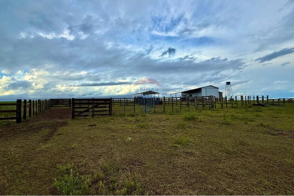 Chácara / Sítio / Fazenda - Venda - São Gabriel , Rio Grande do Sul - WhatsApp Image 2025-03-07 at 09.58.55 (3).jpeg - 612631001-65