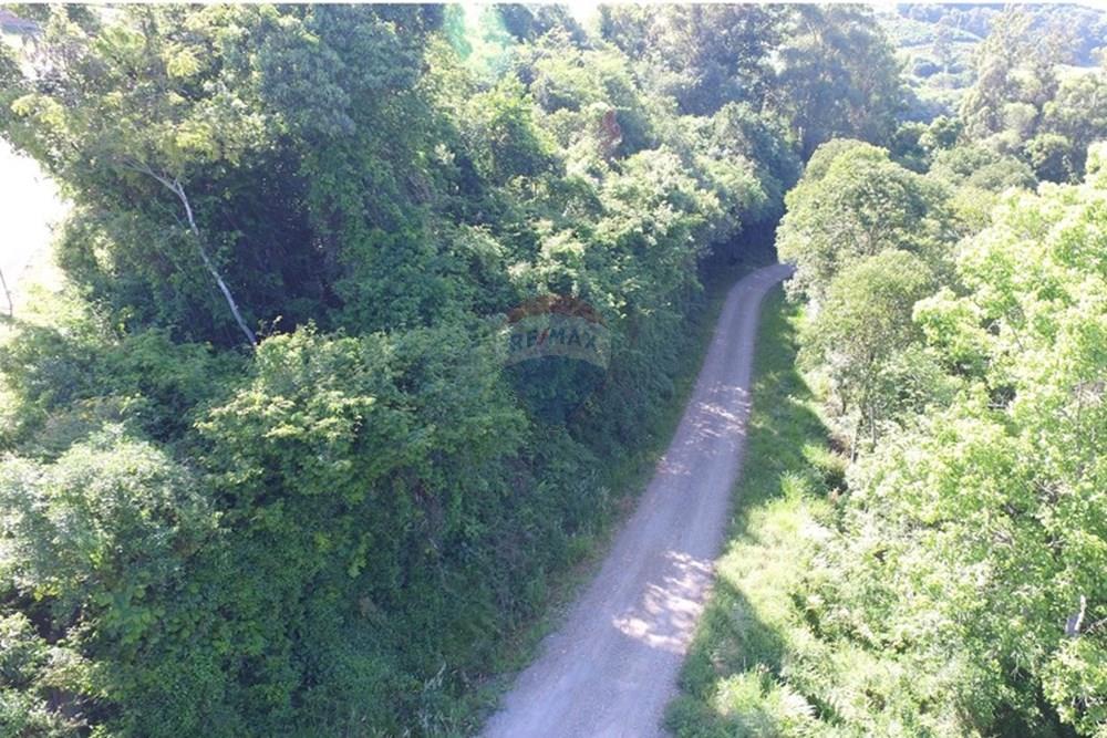 Terreno - Venda - Nova Pádua , Rio Grande do Sul - DJI_00711.jpg - 612551039-219