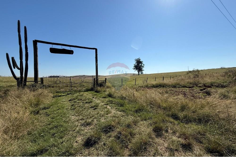 Chácara / Sítio / Fazenda - Venda - São Gabriel , Rio Grande do Sul - Imagem do WhatsApp de 2025-06-28 à(s) 00.15.31_cc43ae10.jpg - 612631046-8