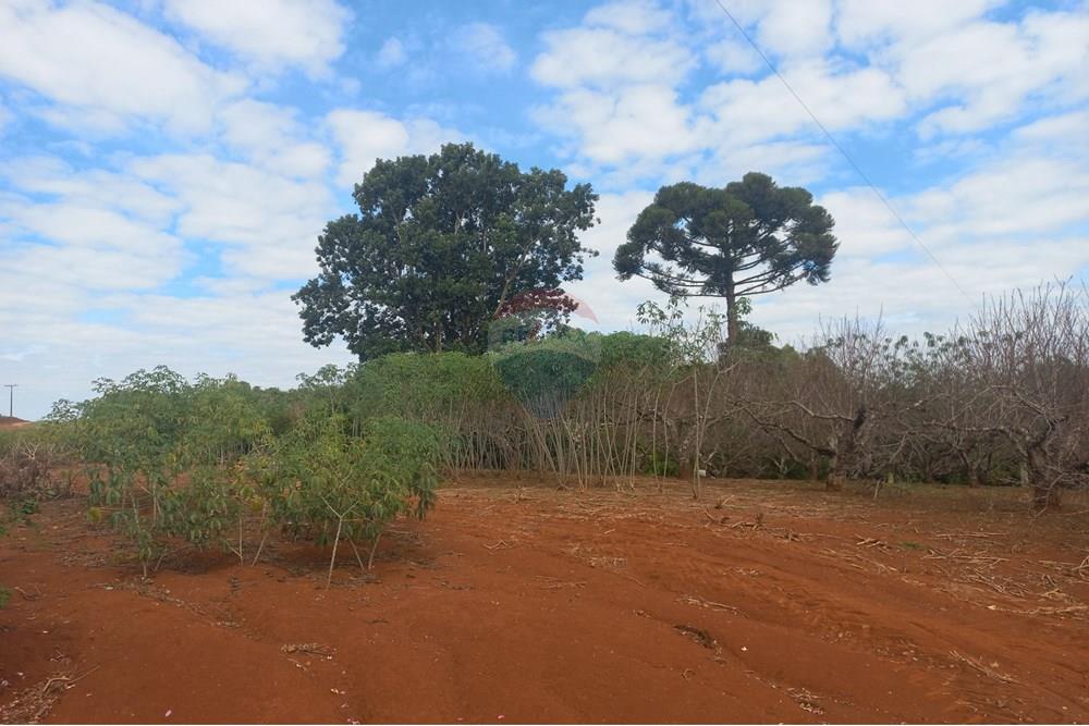 Chácara / Sítio / Fazenda - Venda - Nonoai , Rio Grande do Sul - 1000558520.jpg - 610231010-128