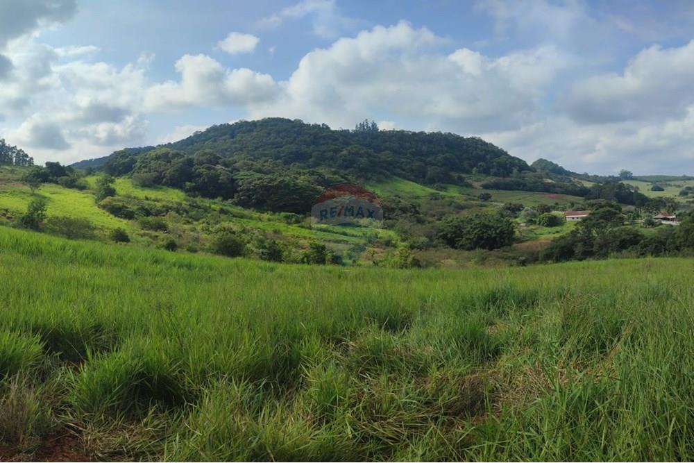 Residential - قطعة أرض - Capela de Santana , Rio Grande do Sul - BR - WhatsApp Image 2025-06-30 at 08.57.41 (1).jpeg - 610461003-24