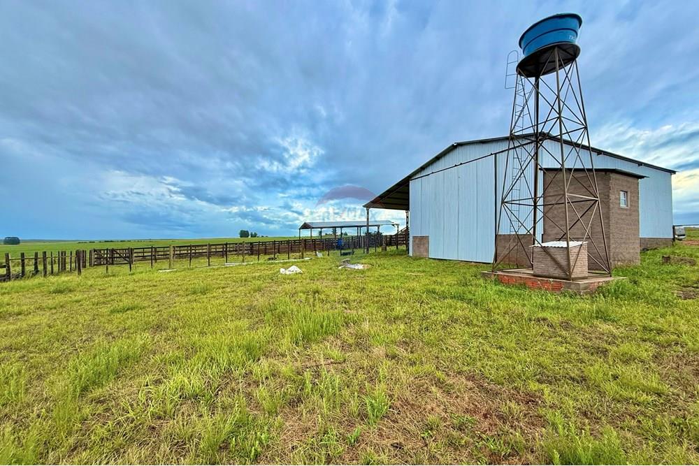 Chácara / Sítio / Fazenda - Venda - São Gabriel , Rio Grande do Sul - WhatsApp Image 2025-03-07 at 09.58.56 (2).jpeg - 612631001-65