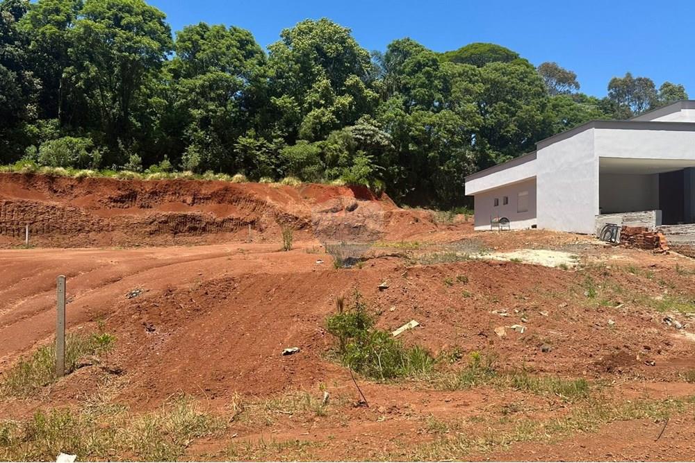 Terreno - Venda - Três Palmeiras , Rio Grande do Sul - WhatsApp Image 2025-11-24 at 14.30.16 (2).jpeg - 610231001-221