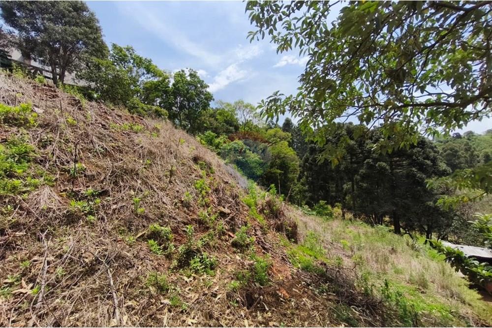 Terreno - Venda - São Valentim , Rio Grande do Sul - WhatsApp Image 2025-10-11 at 13.51.09.jpeg - Fachada - 612761006-54