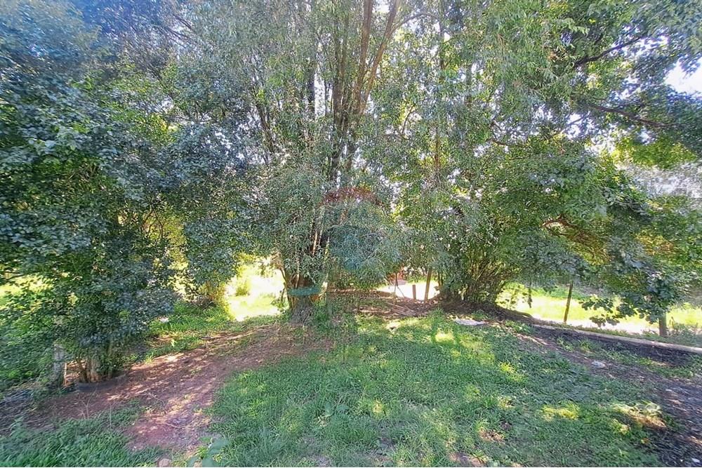 Terreno - Venda - Passo Fundo , Rio Grande do Sul - WhatsApp Image 2026-01-05 at 15.10.53.jpeg - 610351082-4