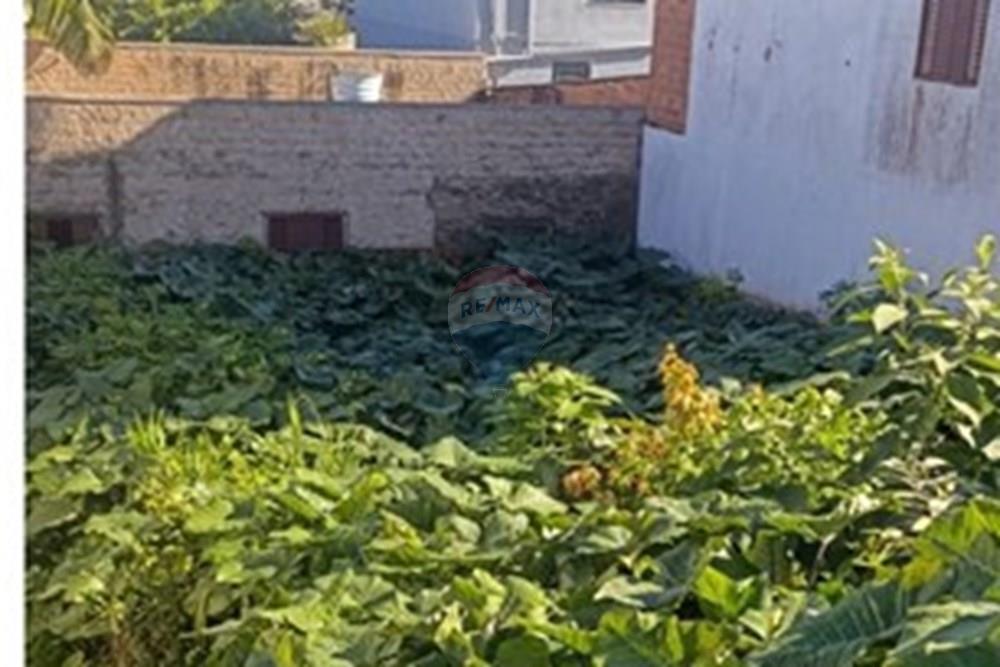 Gyvenamasis - Žemės sklypas - Novo Hamburgo , Rio Grande do Sul - BR - WhatsApp Image 2025-06-26 at 14.43.53 (1).jpeg - 610461003-16