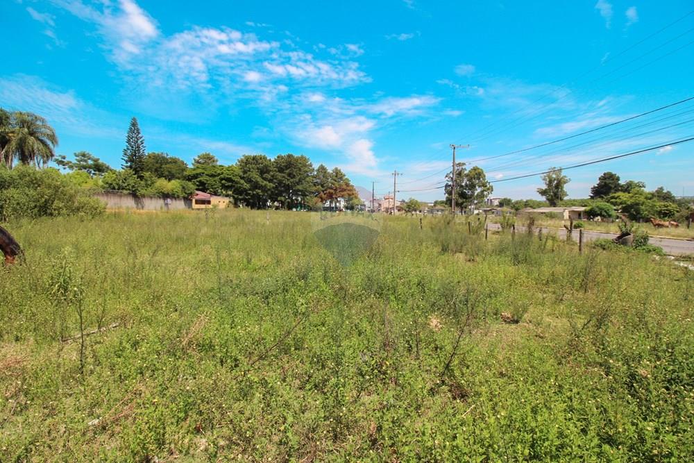 Terreno - Venda - Santa Maria , Rio Grande do Sul - IMG_4969.jpg - 610471031-19