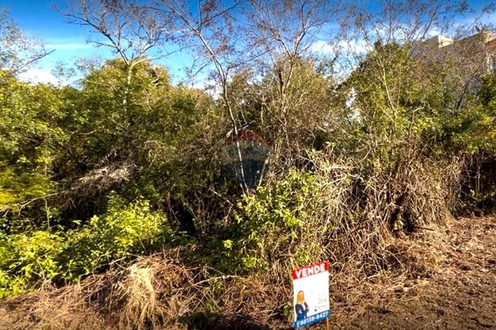 Terreno - Venda - Guaíba , Rio Grande do Sul - Imagem do WhatsApp de 2025-07-25 à(s) 19.59.58_8920b833.jpg - 612781019-5