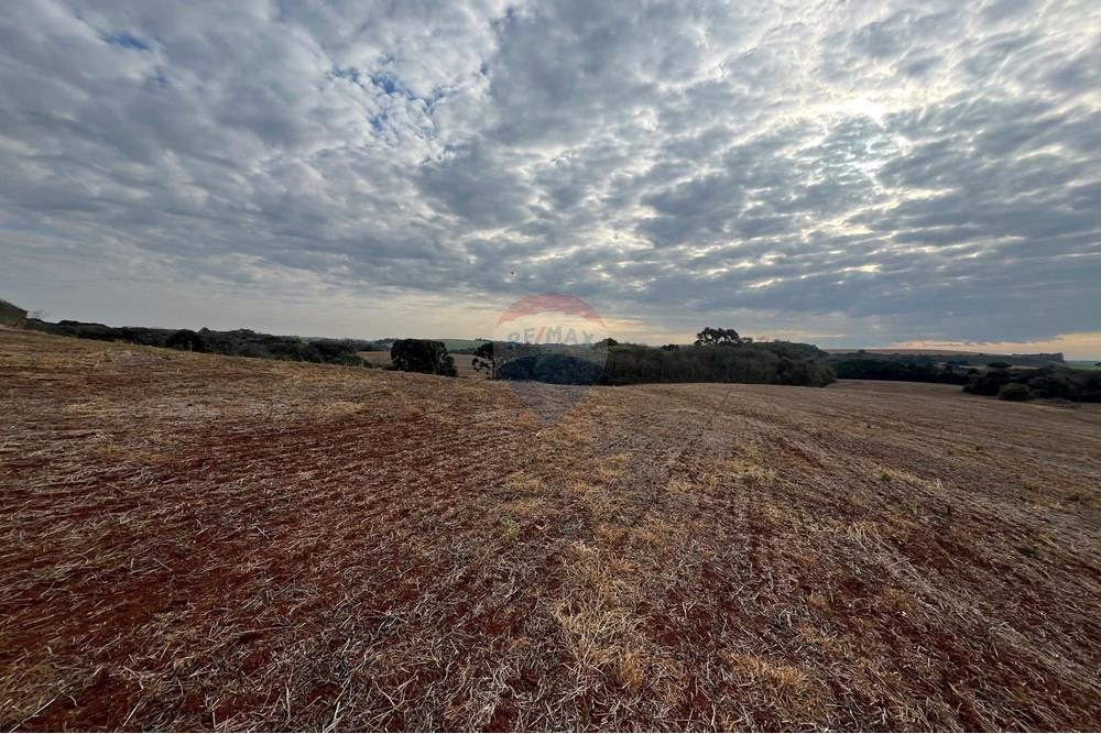 Fazenda - Venda - Lagoa Vermelha , Rio Grande do Sul - IMG_2534.JPG - 610111017-1