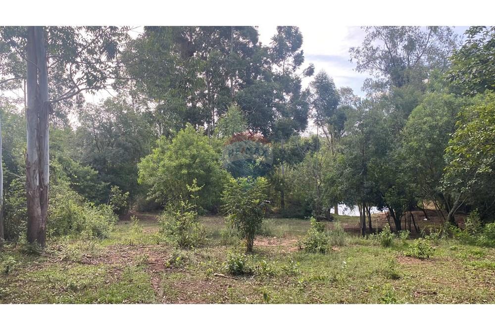 Chácara / Sítio / Fazenda - Venda - Rio Pardo , Rio Grande do Sul - IMG_5709.jpeg - 612741002-49