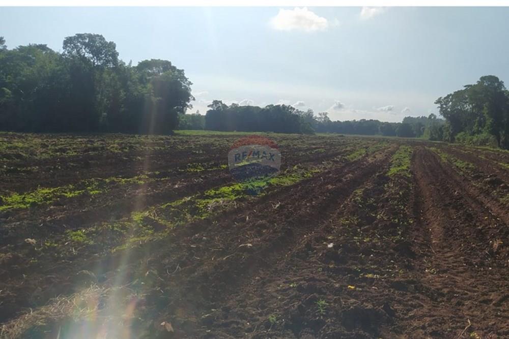 Terreno - Venda - Terra de Areia , Rio Grande do Sul - a229788c-247b-4511-bd40-8cd6efffcbde.jpg - 612671028-42