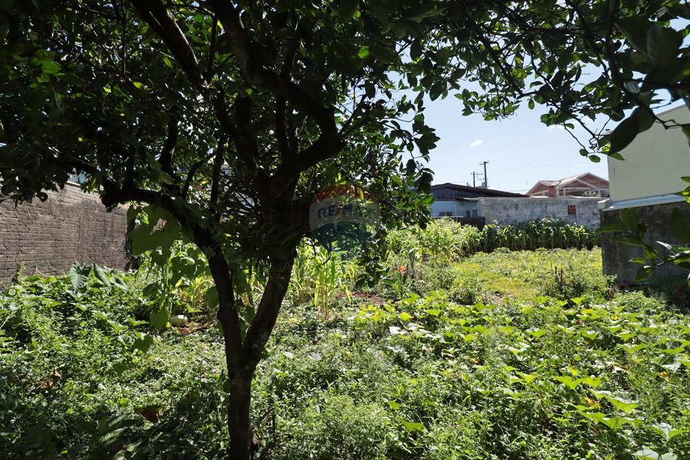 Terreno - Venda - Passo Fundo , Rio Grande do Sul - IMG_4891.JPG - 610271075-18