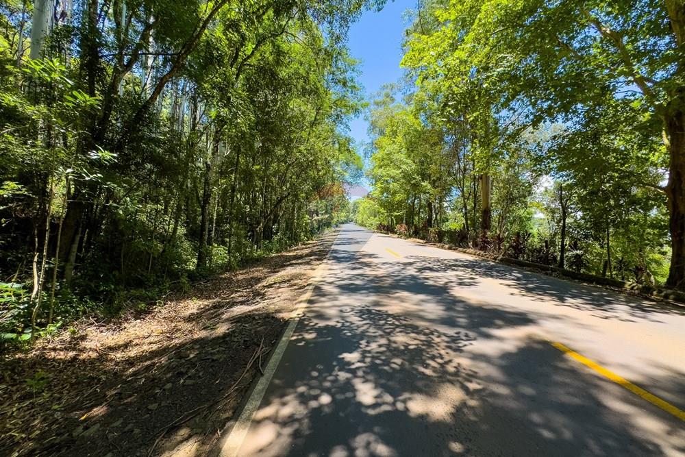 Terreno - Venda - Severiano de Almeida , Rio Grande do Sul - IMG_8510.jpg - 612761027-22