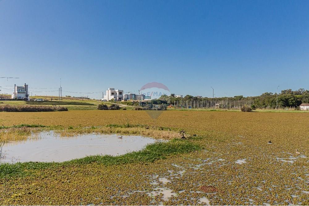 Terreno - Venda - Pelotas , Rio Grande do Sul - WhatsApp Image 2025-07-18 at 09.17.16.jpeg - 610211059-18