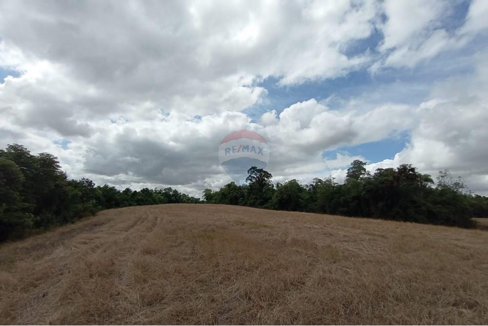 Chácara / Sítio / Fazenda - Venda - Sarandi , Rio Grande do Sul - WhatsApp Image 2025-11-26 at 16.01.41.jpeg - 610341020-16