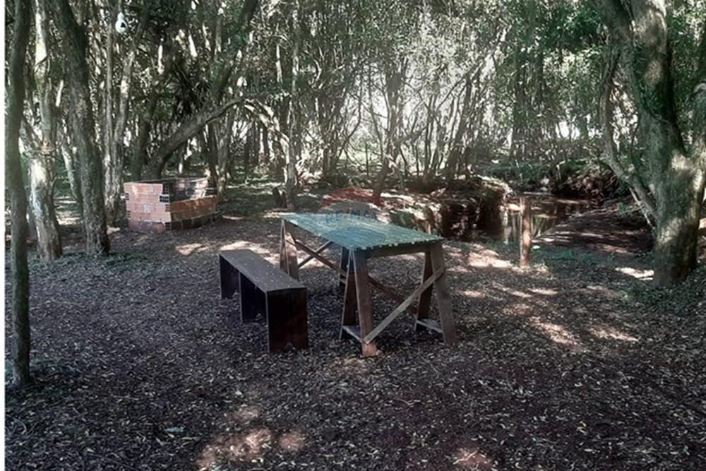 Chácara / Sítio / Fazenda - Venda - Lagoa dos Três Cantos , Rio Grande do Sul - ce1b3aa3-c1aa-4230-8b6d-1a211c5d9361.jpeg - 612701005-19