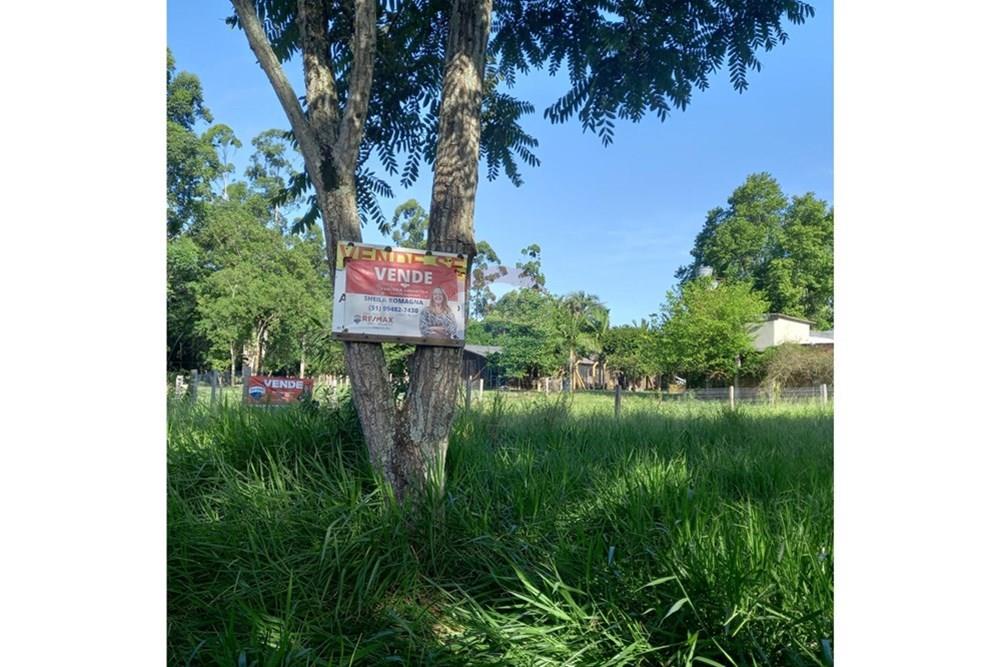 Terreno - Venda - Gravataí , Rio Grande do Sul - WhatsApp Image 2026-01-29 at 15.43.16.jpeg - 610141011-88