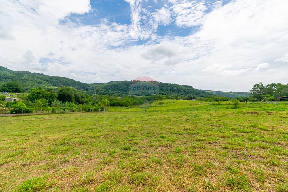Terreno - Venda - Gravataí , Rio Grande do Sul - _DSC3253.jpg - 610051074-25
