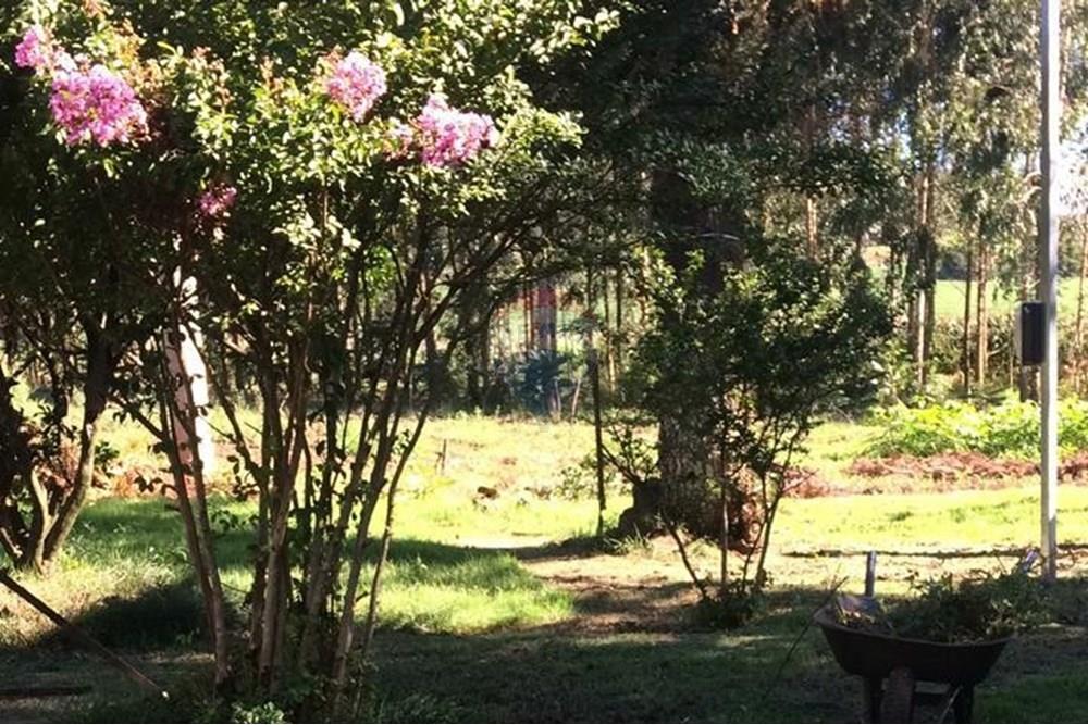 Chácara / Sítio / Fazenda - Venda - Sarandi , Rio Grande do Sul - WhatsApp Image 2025-07-03 at 11.17.28.jpeg - 610341006-382