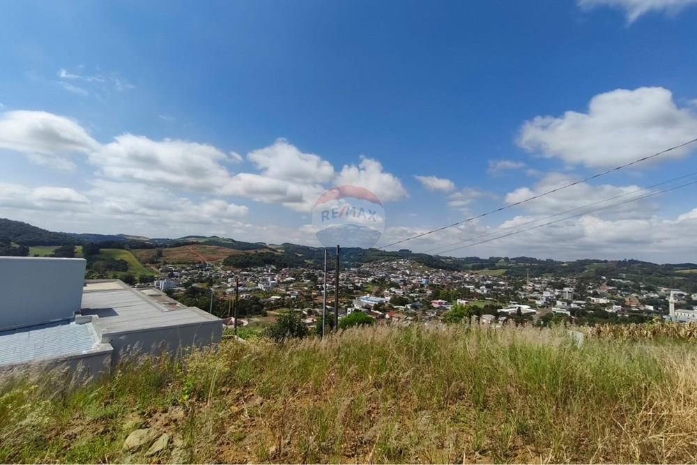 Terreno - Venda - Barão de Cotegipe , Rio Grande do Sul - f.9.jpeg - 612761047-18