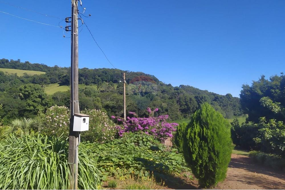 Chácara / Sítio / Fazenda - Venda - Coqueiros do Sul , Rio Grande do Sul - 3de81680-98ca-4f7c-82b5-6580a092eef5.jpg - 612701042-33
