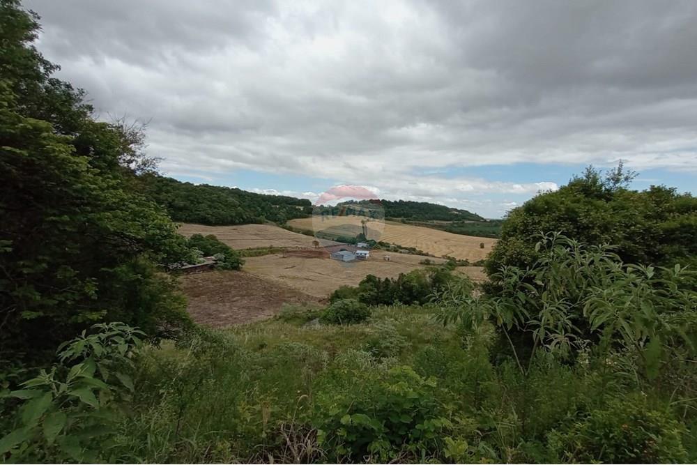 Chácara / Sítio / Fazenda - Venda - Sarandi , Rio Grande do Sul - WhatsApp Image 2025-11-26 at 16.01.42 (6).jpeg - 610341020-16