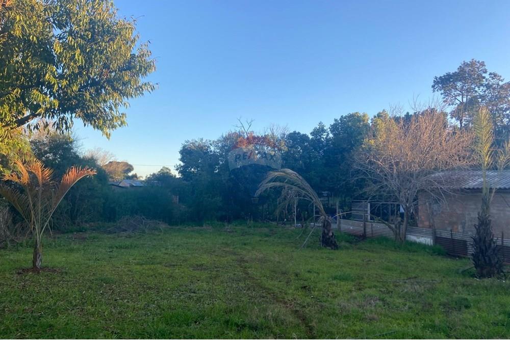 Casa - Venda - Carazinho , Rio Grande do Sul - WhatsApp Image 2025-07-22 at 5.27.59 PM (1).jpeg - 612701049-2