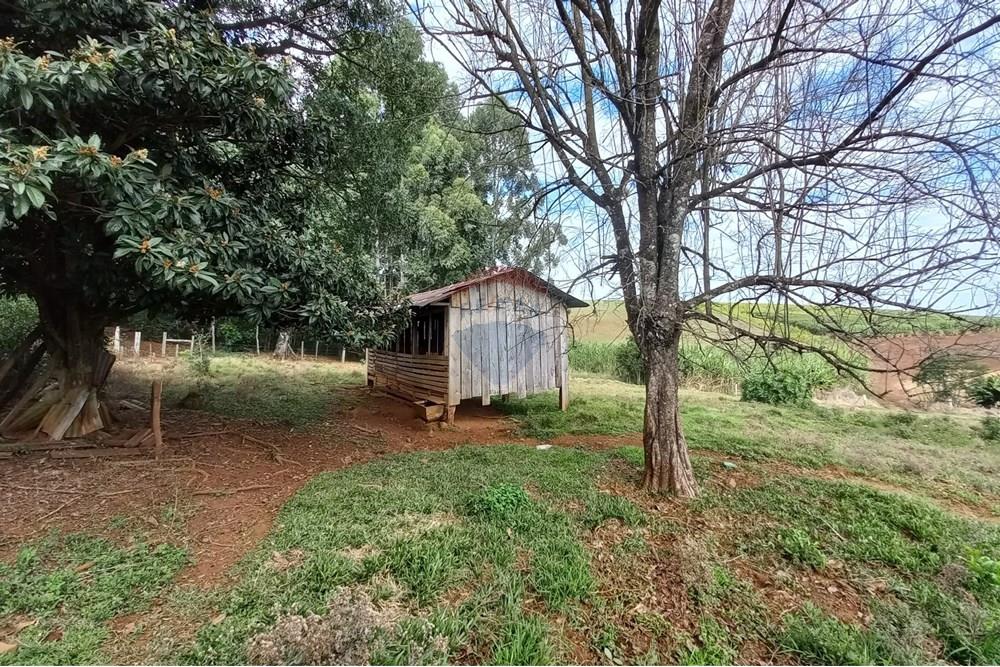 Chácara / Sítio / Fazenda - Venda - Nonoai , Rio Grande do Sul - 1000558509.jpg - 610231010-128