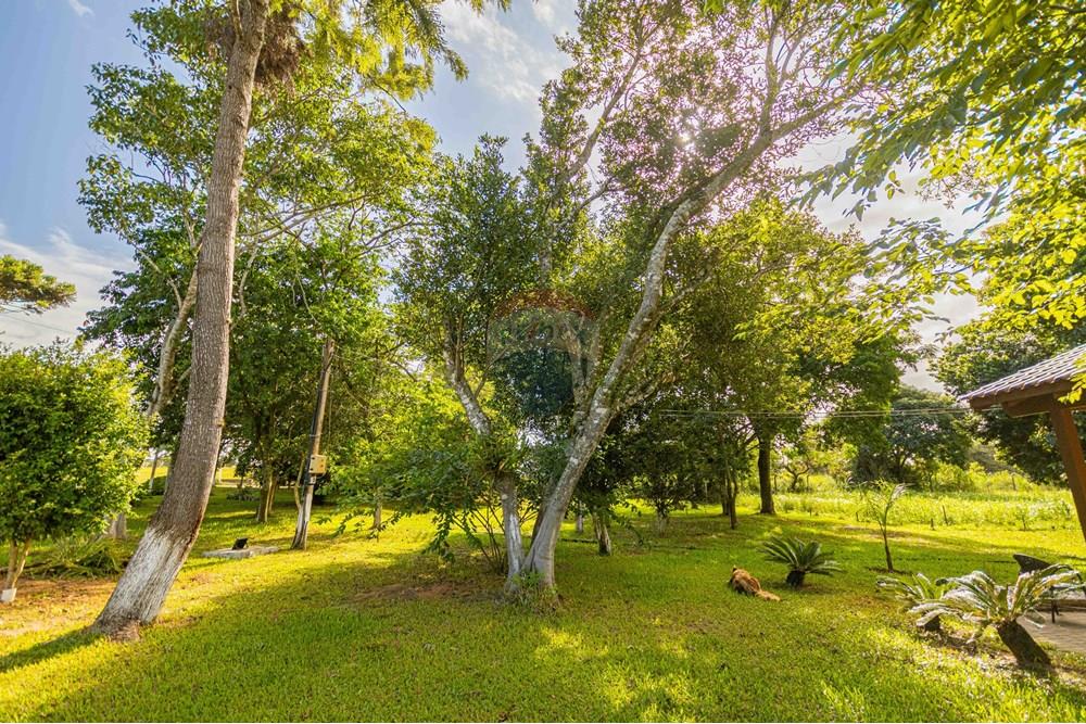 Chácara / Sítio / Fazenda - Venda - Viamão , Rio Grande do Sul - IMG_1729.jpg - 612531046-158