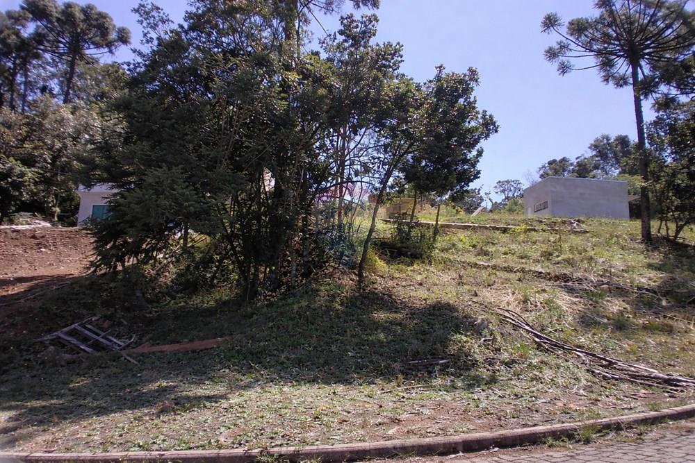 Terreno - Venda - Erechim , Rio Grande do Sul - ChatGPT Image 20 de mar. de 2026, 14_16_27.jpg - Fachada - 612761027-29