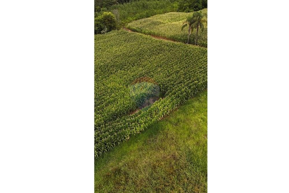 Chácara / Sítio / Fazenda - Venda - Gramado , Rio Grande do Sul - WhatsApp Image 2026-02-24 at 18.00.11 (5).jpeg - 610131034-44