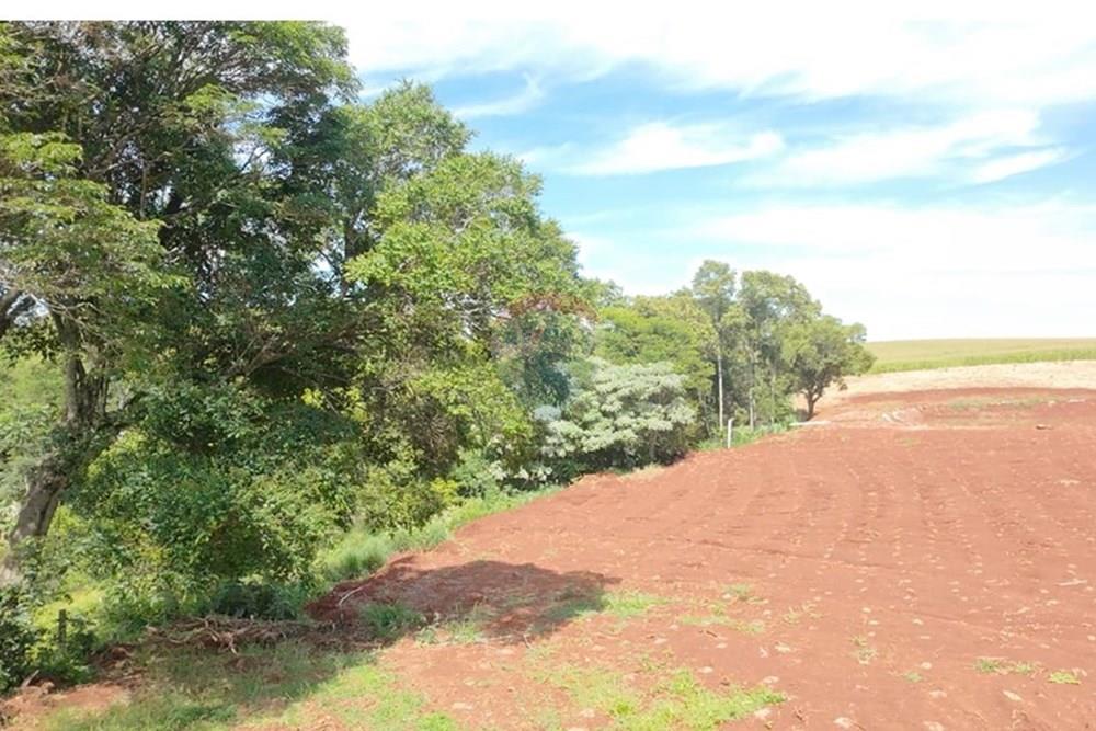 Chácara / Sítio / Fazenda - Venda - Três Palmeiras , Rio Grande do Sul - IMG-20251129-WA0040.jpg - 610231029-134