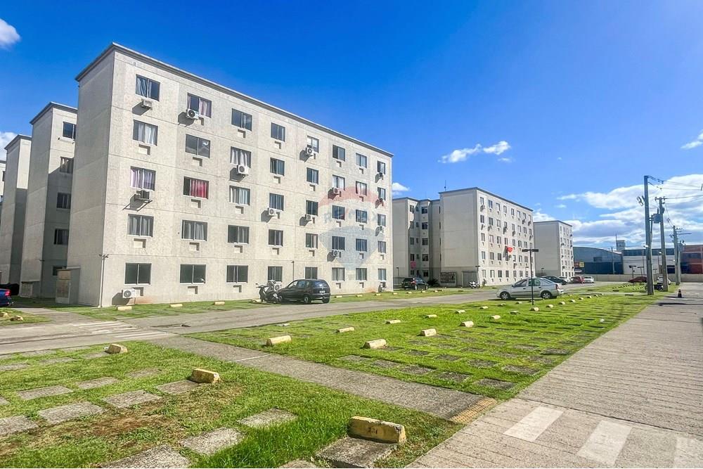 Apartamento - Venda - São Leopoldo , Rio Grande do Sul - IMG_9803.jpg - 610411052-42