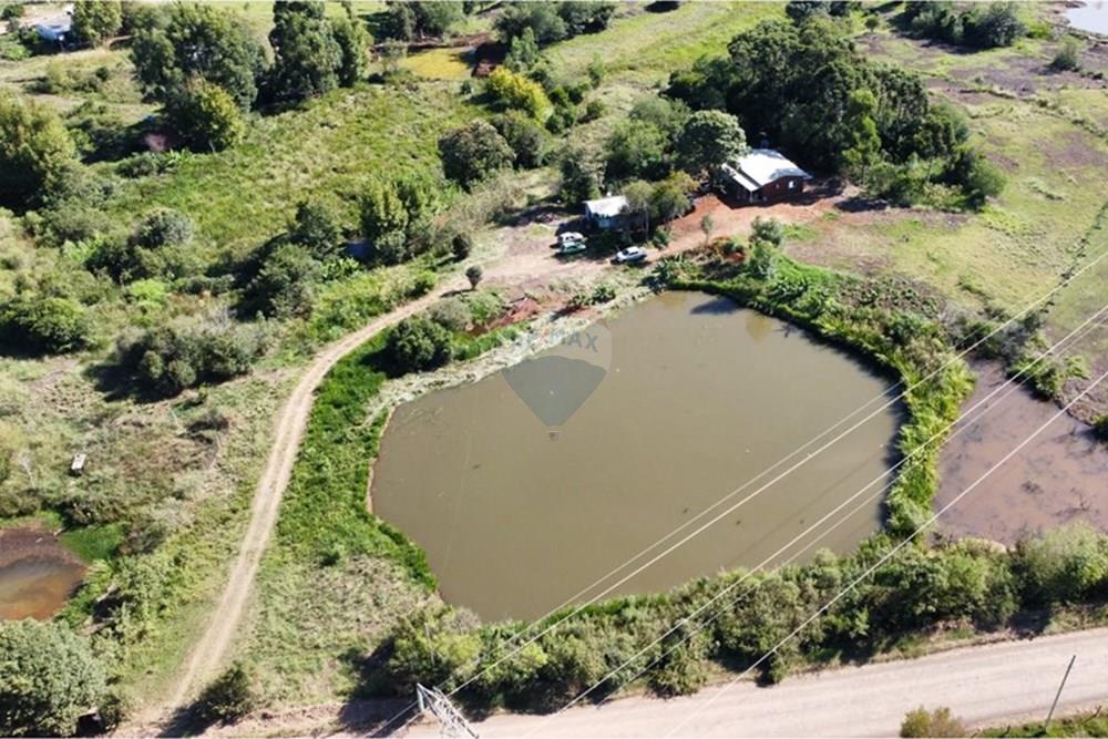 Chácara / Sítio / Fazenda - Venda - Trindade do Sul , Rio Grande do Sul - IMG-20250305-WA0037.jpg - 610231004-87