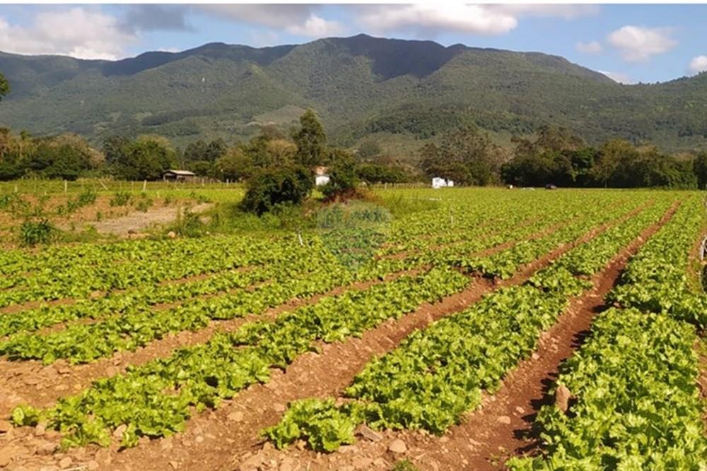 Terreno - Venda - Terra de Areia , Rio Grande do Sul - 11ec2be7-6db3-4e93-a3d3-6b7645720ce1.jpg - 612671028-46