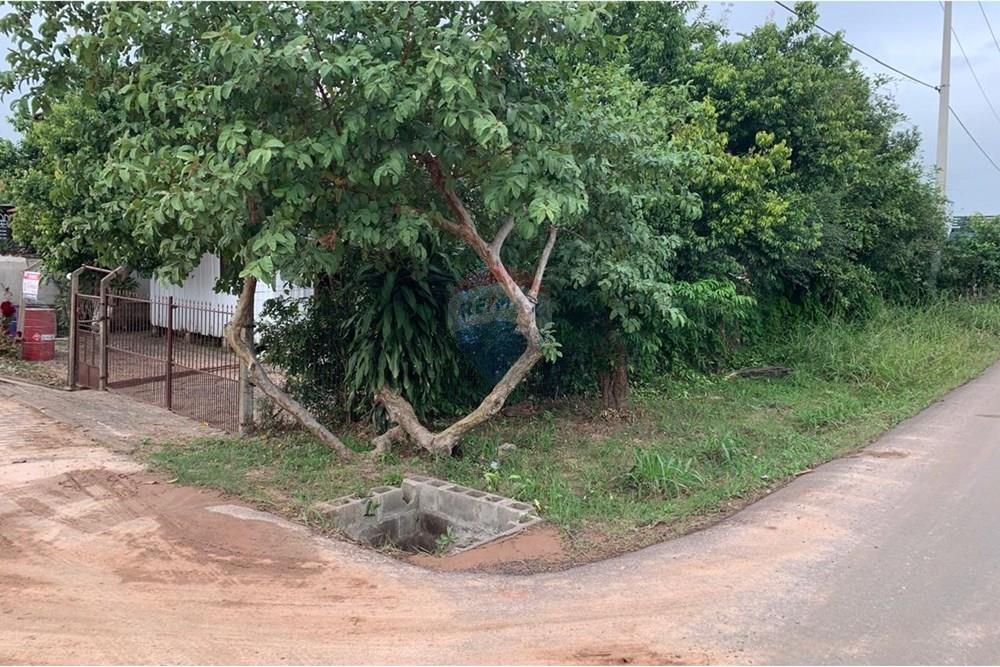 Terreno - Venda - Santa Cruz do Sul , Rio Grande do Sul - WhatsApp Image 2025-05-19 at 13.21.05 (1).jpeg - 612741028-29