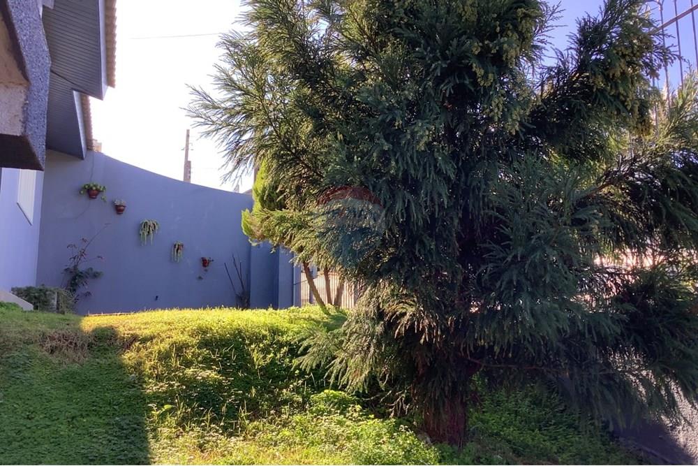 Casa - Venda - Carazinho , Rio Grande do Sul - patio lateral 2.jpg - 612701007-146