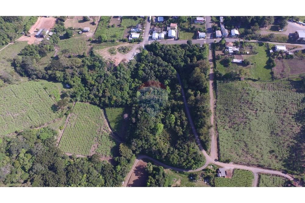 Terreno - Venda - Nova Pádua , Rio Grande do Sul - DJI_00541.jpg - 612551039-219