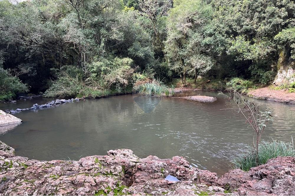 Chácara / Sítio / Fazenda - Venda - Lagoa Vermelha , Rio Grande do Sul - IMG_4191.jpg - 610111017-6