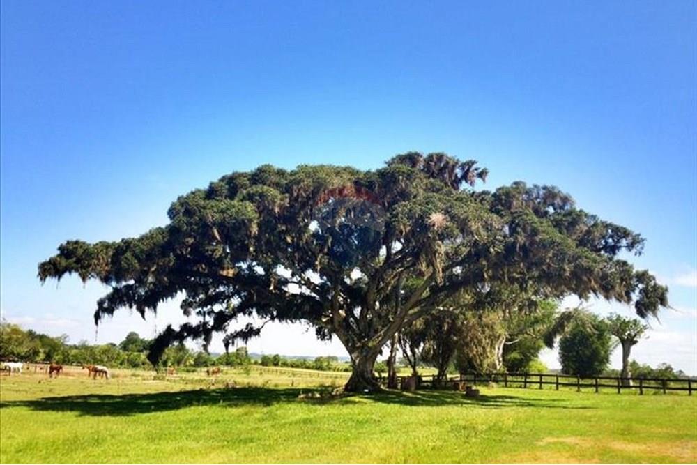 Chácara / Sítio / Fazenda - Venda - Viamão , Rio Grande do Sul - o-condominio-1.jpg - 612531061-5