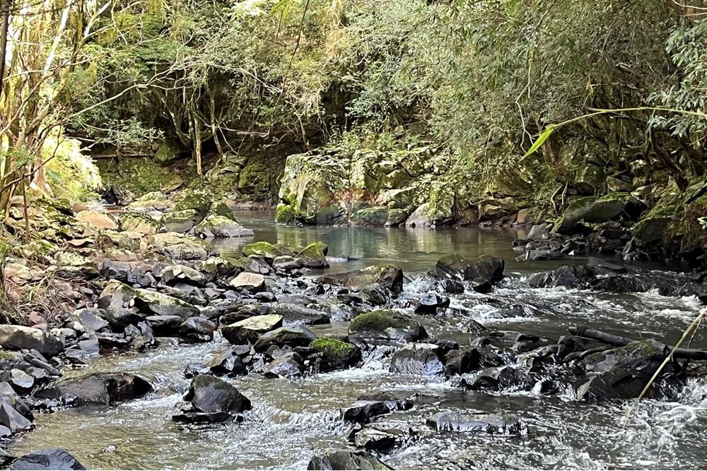 Fazenda - Venda - Lagoa Vermelha , Rio Grande do Sul - IMG_4228.jpg - 610111017-4