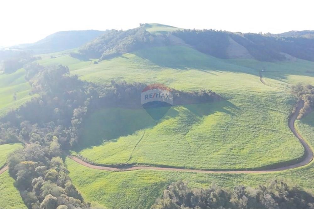 Agro - Venda - Três Palmeiras , Rio Grande do Sul - WhatsApp Image 2025-08-30 at 19.35.33 (1).jpeg - 610231001-210