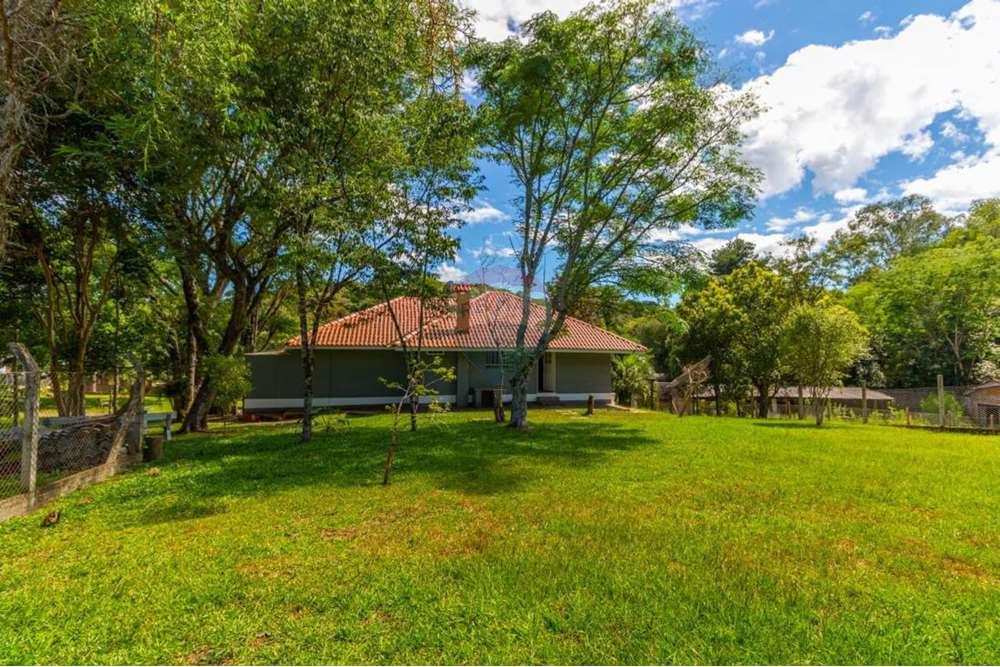 Casa - Alugar - Passo Fundo , Rio Grande do Sul - g13_6325_88902_1504_230623.jpeg - 610271045-1271