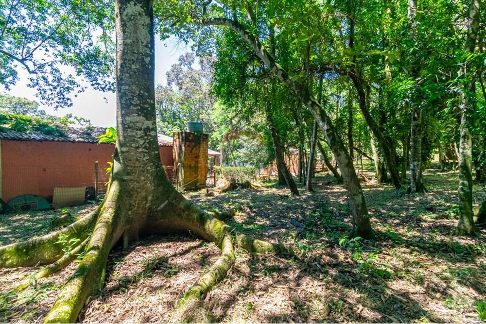 Chácara / Sítio / Fazenda - Venda - Gravataí , Rio Grande do Sul - LRP 11.jpg - 612551082-7