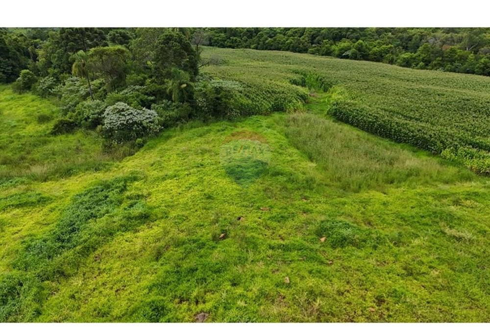 Chácara / Sítio / Fazenda - Venda - Gramado , Rio Grande do Sul - WhatsApp Image 2026-02-24 at 16.26.07 (15).jpeg - 610131034-44