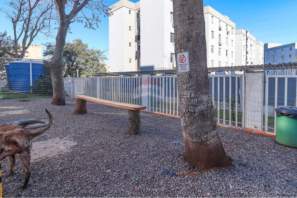 Apartamento - Venda - Porto Alegre , Rio Grande do Sul - DSCIMAGENS-80.jpg - 610101007-37