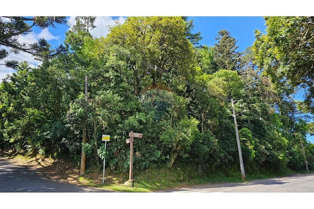 Apartamento - Venda - Gramado , Rio Grande do Sul - TERRENO FIRENZE (7).jpg - 610131055-6