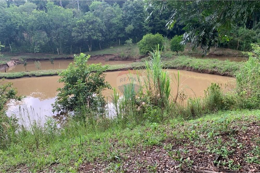 Chácara / Sítio / Fazenda - Venda - Vera Cruz , Rio Grande do Sul - WhatsApp Image 2026-03-30 at 11.25.37 (5).jpeg - 612741028-80