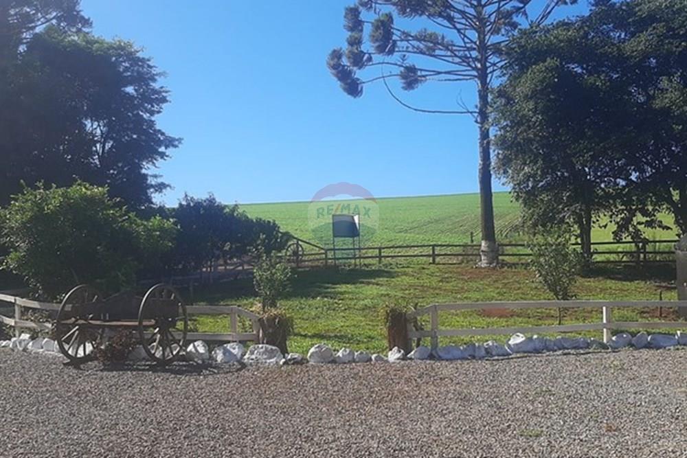 Chácara / Sítio / Fazenda - Venda - Lagoa dos Três Cantos , Rio Grande do Sul - 59928eca-7af1-46d0-b2a1-a1a87db2d4a7.jpeg - 612701005-19