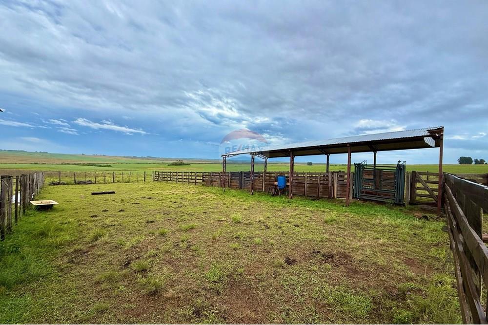 Chácara / Sítio / Fazenda - Venda - São Gabriel , Rio Grande do Sul - WhatsApp Image 2025-03-07 at 09.58.56.jpeg - 612631001-65